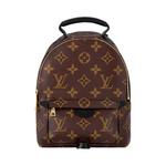 Рюкзаки Louis Vuitton Palm Springs Mini 'Brown Monogram Canvas' 1