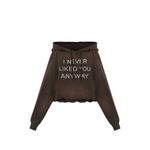 cropped hoodie 1