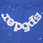 Шорты Sp5der OG Web Double Layer Short 'Blue' 3