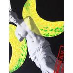 Картина Venus с принтом 2