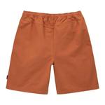 Шорты Stussy Brushed Beach Short 'Rust' 2