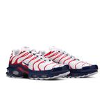 Кроссовки Sneakers Nike Air Max Plus 'США' 8