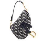 Saddle Handbag Oblique Canvas Mini shoulder bag 1