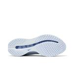 Кроссовки Nike Wmns Pegasus Premium 'Football Grey' 4