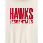 Худи Hawks 2
