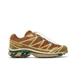 Кроссовки Salomon XT-6 'Rubber Lizard' 1