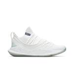 Кроссовки Under Armour Curry 5 Low 'Triple White' 1