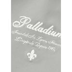 ЖЕНСКАЯ МИНИ-ЮБКА A-СИЛУЭТА С ЛОГОТИПОМ PALLADIUM 6
