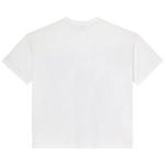 Футболки с коротким рукавом Vale Forever Big Stage Tee 'White' 2