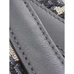 Сумка Mini Oblique Canvas Saddle Bag (2010-2026 годы) 2