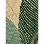 Картина Calathea в деревянной оправе 2