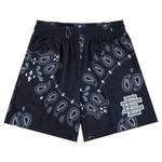Шорты Eric Emanuel EE Basic Short 'Black Paisley' 1