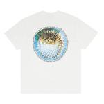 Футболки Supreme Blowfish Tee 'White' 2