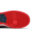 Кроссовки Nike Zoom Dunk Low Pro SB 'Reverse Shark' 5