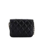 Мини-сумка через плечо Pearl Crush Flap Clutch with Chain Quilted Lambskin 2