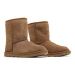 Ботинки UGG Classic II Boot Kids 'Каштановый' 8