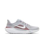 Кроссовки Nike Air Zoom Pegasus 41 'Arkansas' 1