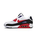 Кроссовки Nike Air Max 90 Essential 'Raptors' 3