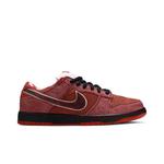 Кроссовки Nike Dunk Low Premium SB 'Lobster' 1