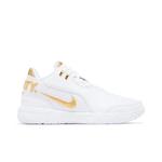 Кроссовки Nike Zoom LeBron NXXT Gen AMPD 'Equity' 1