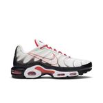 Кроссовки Nike Air Max Plus «Script Swoosh» 1