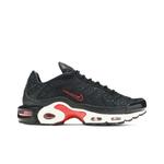 Кроссовки Nike Wmns Air Max Plus TN 'Black Red' 1
