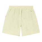 Плавки Stussy Curly S Water Short 'Светло-зеленый' 2