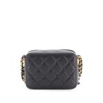 Клатч Twist Your Buttons Zip Around Vanity Case with Chain Quilted Caviar 2