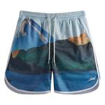 Шорты Kith Printed Jordan Mesh Short 'Current' 1