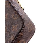 Felicie Strap & Go Handbag Monogram Canvas crossbody bag 5