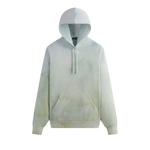 Худи Kith Design Studios Nelson Hoodie 'Patina' 1