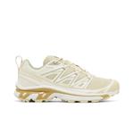 Кроссовки Salomon XT-6 Expanse «Cottage Core» 1