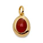 Колье January Birthstone Locket с подвеской 1