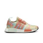 Кроссовки Adidas Wmns NMD_R1 «Tie-Dye» 1