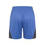Шорты Dri-FIT ISoFly 2