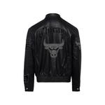 Бомбер chicago bulls 2