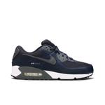 Кроссовки Nike Air Max 90 'Obsidian Iron Grey' 1