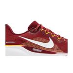 Кроссовки NFL x Nike Air Zoom Pegasus 41 'Washington Commanders' 2