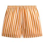 Шорты Kith Striped Cedar Short 'Tiger' 1