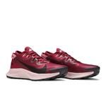 Кроссовки Nike Wmns Pegasus Trail 2 'Dark Beetroot' 8