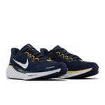 Кроссовки Nike Air Zoom Pegasus 41 'Michigan' 8