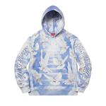 Худи Supreme Doves Hooded Sweatshirt 'Blue' 1