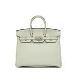 Сумка Birkin 25 1