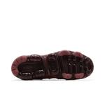 Кроссовки Nike Wmns Air VaporMax Plus 'Cedar Burgundy' 4