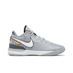 Кроссовки Nike Zoom LeBron NXXT Gen 'Wolf Grey' 1