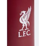 Металлическая бутылка Liverpool FC 2