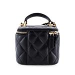 Стеганая мини-сумка через плечо Classic Top Handle Vanity Case с цепочкой 2