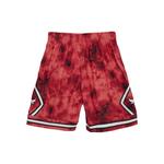 Шорты Chicago Bulls 1997 Galaxy Swingman из коллаборации с NBA 2