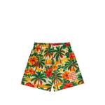 Шорты EE с принтом Hawaiian 1