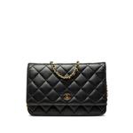 2015-2016 CC Quilted Lambskin Wallet On Chain crossbody bag 1
